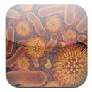 Infectious Disease App