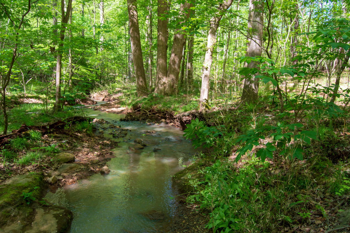 CNA Classes in Forest-Park, GA